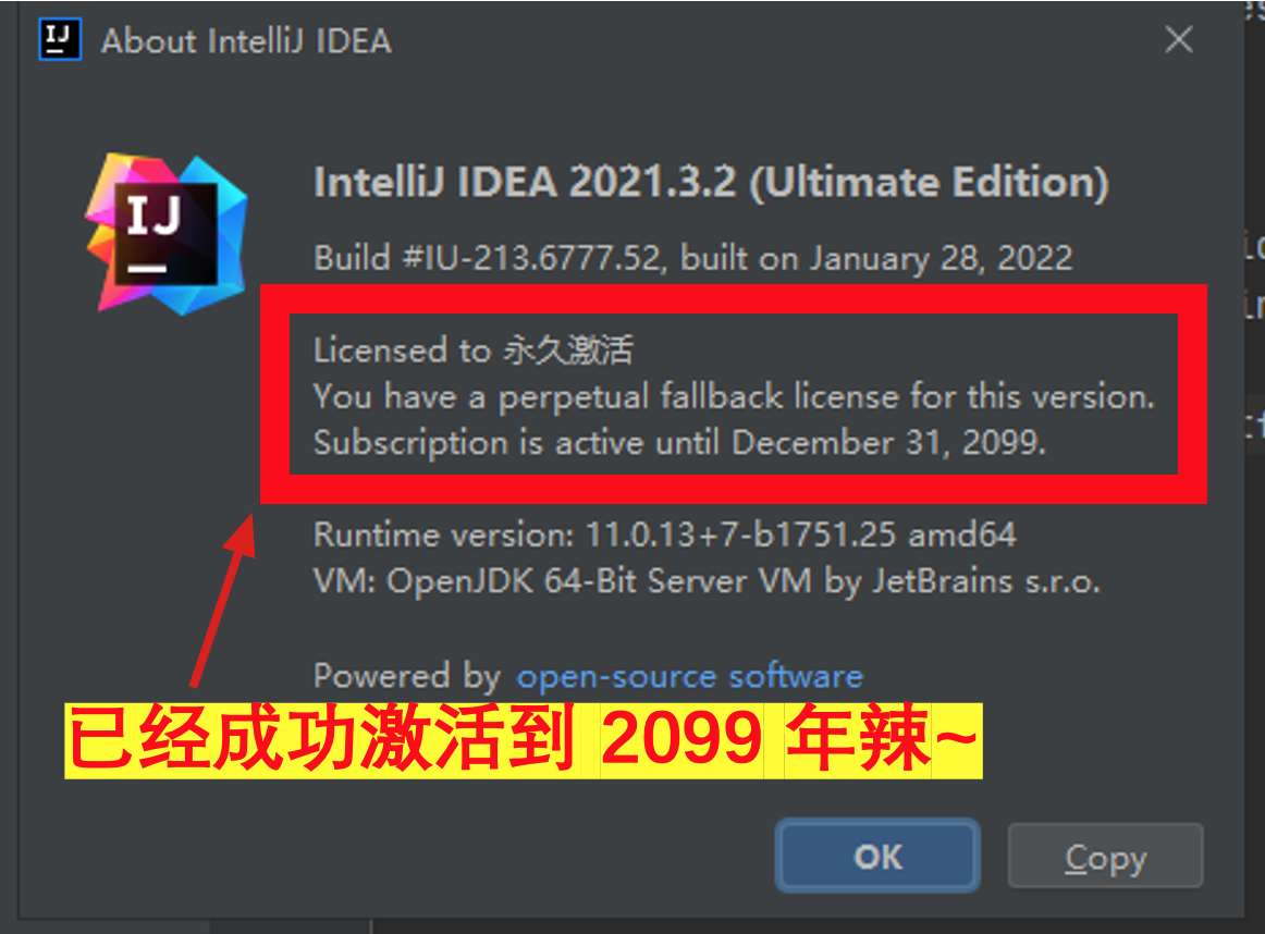 IDEA 2021.3.2 成功激活至9999年截图2