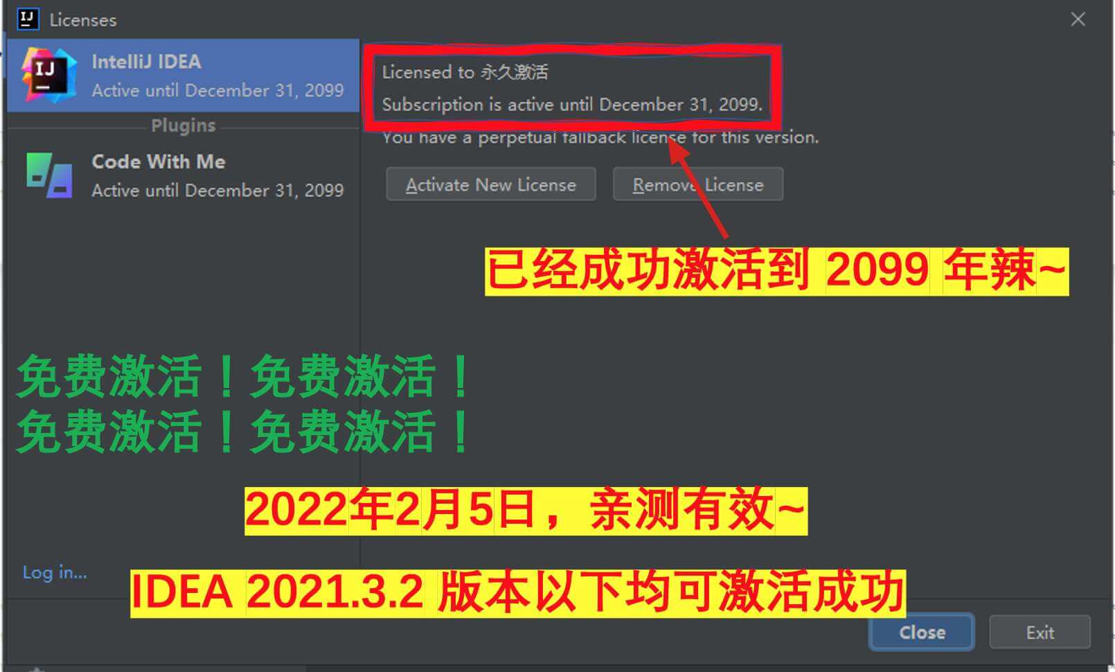 IDEA 2021.3.2 成功激活至9999年截图