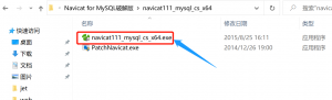 Navicat for MySQL 11.1.13 中文版
